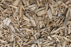biomass boilers Barmer